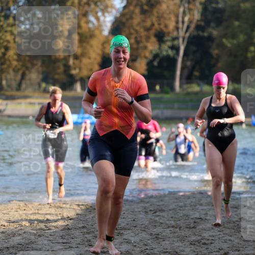 08.09.2024 - Stadtparktriathlon Michael Strokosch http://msf.ph/oto/7027978 08.09.2024 10:14:30 Schwimmen 274, 283, 286, 293, 302, 303, 312, 321, 354, 359, 1936 meine-sportfotos.de