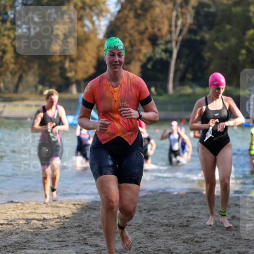 08.09.2024 - Stadtparktriathlon Michael Strokosch http://msf.ph/oto/7027982 08.09.2024 10:14:30 Schwimmen 274, 283, 286, 293, 302, 303, 312, 321, 354, 359, 1936 meine-sportfotos.de