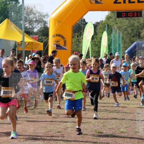 08.09.2024 - Airport Race Strokosch-Dieckow http://msf.ph/oto/7034853 08.09.2024 11:11:12 Ziel  meine-sportfotos.de