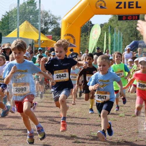 08.09.2024 - Airport Race Strokosch-Dieckow http://msf.ph/oto/7034917 08.09.2024 11:11:14 Ziel  meine-sportfotos.de