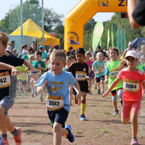 08.09.2024 - Airport Race Strokosch-Dieckow http://msf.ph/oto/7034929 08.09.2024 11:11:14 Ziel  meine-sportfotos.de