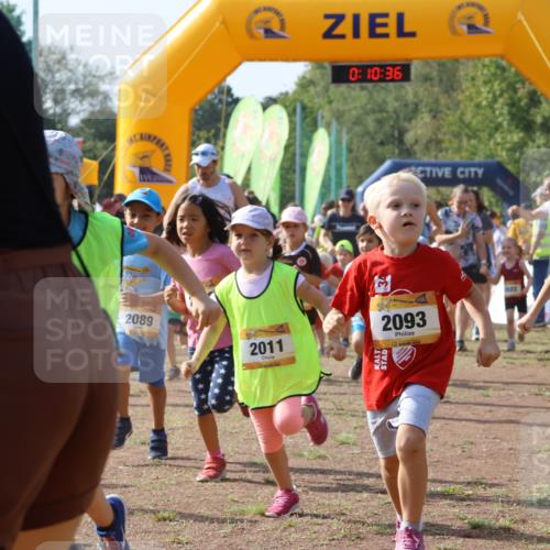 08.09.2024 - Airport Race Strokosch-Dieckow http://msf.ph/oto/7034970 08.09.2024 11:11:17 Ziel  meine-sportfotos.de