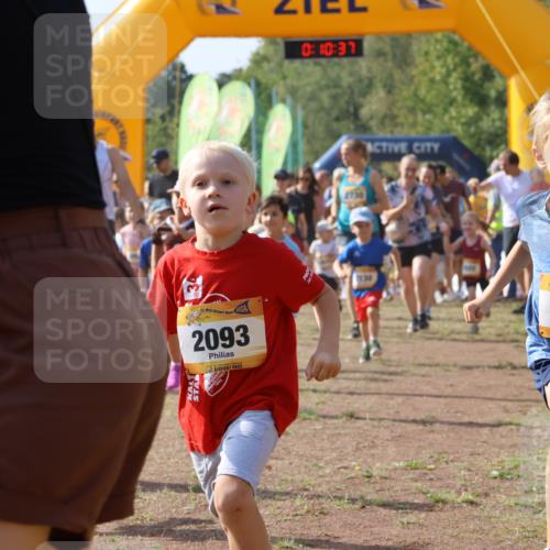 08.09.2024 - Airport Race Strokosch-Dieckow http://msf.ph/oto/7034983 08.09.2024 11:11:18 Ziel  meine-sportfotos.de