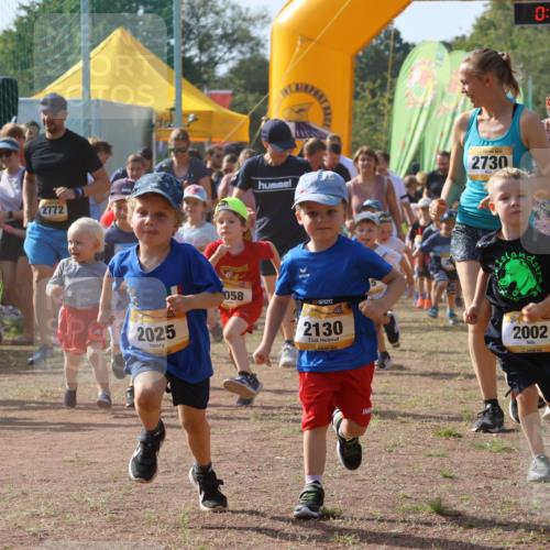08.09.2024 - Airport Race Strokosch-Dieckow http://msf.ph/oto/7035009 08.09.2024 11:11:22 Ziel  meine-sportfotos.de