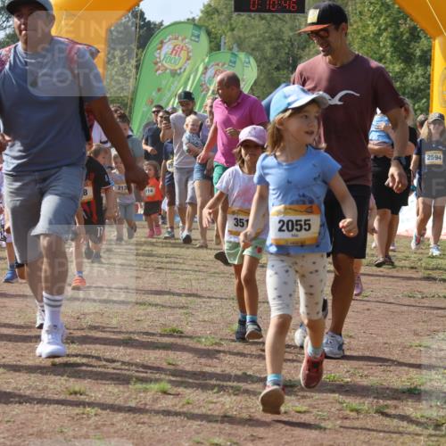 08.09.2024 - Airport Race Strokosch-Dieckow http://msf.ph/oto/7035106 08.09.2024 11:11:27 Ziel  meine-sportfotos.de