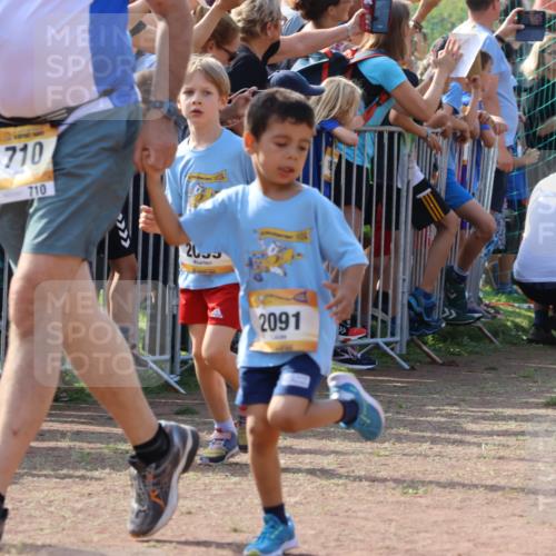 08.09.2024 - Airport Race Strokosch-Dieckow http://msf.ph/oto/7035453 08.09.2024 11:13:16 Ziel  meine-sportfotos.de