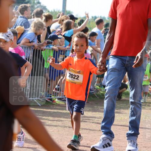 08.09.2024 - Airport Race Strokosch-Dieckow http://msf.ph/oto/7035484 08.09.2024 11:13:40 Ziel  meine-sportfotos.de