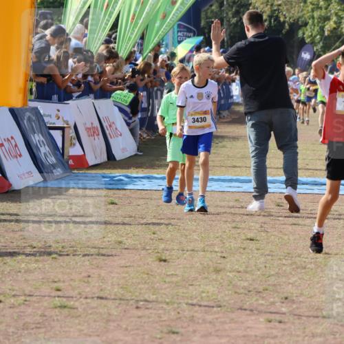 08.09.2024 - Airport Race Strokosch-Dieckow http://msf.ph/oto/7035937 08.09.2024 11:26:32 Ziel 1832, 1887, 1896, 1905, 3430 meine-sportfotos.de
