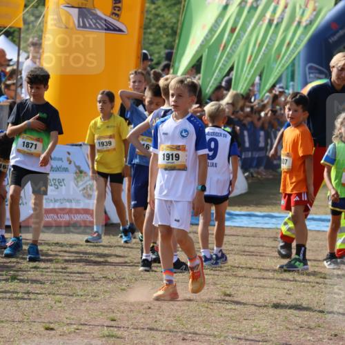 08.09.2024 - Airport Race Strokosch-Dieckow http://msf.ph/oto/7036227 08.09.2024 11:27:07 Ziel 1624, 1727, 1745, 1747, 1751, 1871, 1874, 1889, 3436, 3440, 3444, 3451 meine-sportfotos.de