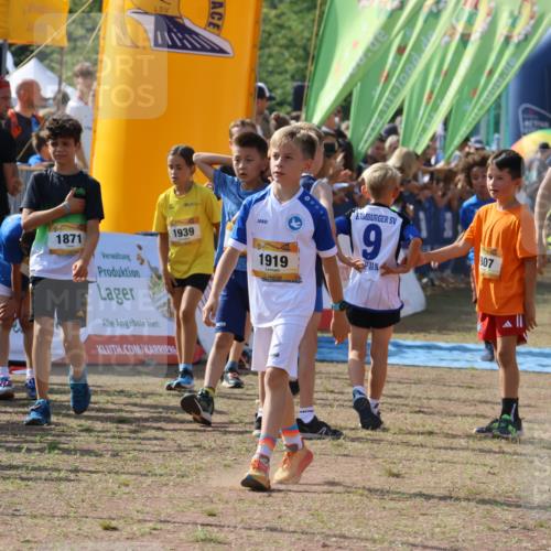 08.09.2024 - Airport Race Strokosch-Dieckow http://msf.ph/oto/7036243 08.09.2024 11:27:07 Ziel 1624, 1727, 1745, 1747, 1751, 1871, 1874, 1889, 3436, 3440, 3444, 3451 meine-sportfotos.de