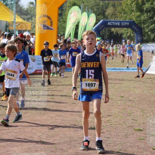 08.09.2024 - Airport Race Strokosch-Dieckow http://msf.ph/oto/7036279 08.09.2024 11:27:26 Ziel 1649, 1650, 1702, 1703, 1707, 1717, 1748, 1848, 1862, 1867, 1893, 1898, 1914, 1934 meine-sportfotos.de