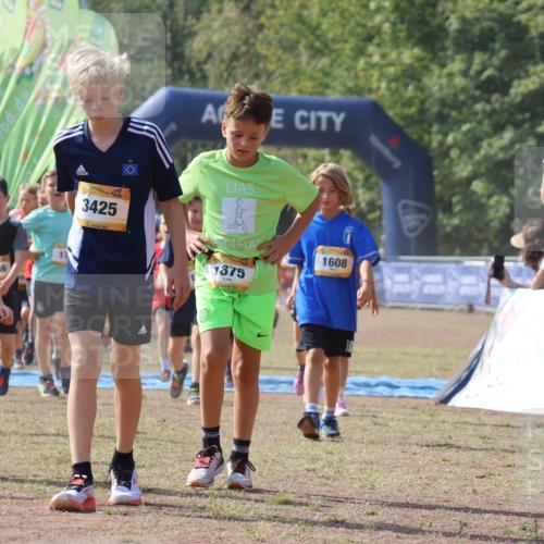 08.09.2024 - Airport Race Strokosch-Dieckow http://msf.ph/oto/7036455 08.09.2024 11:27:53 Ziel 1607, 1608, 1646, 1746, 1781, 1808, 1812, 1820, 1866, 1869, 1900, 1902, 1904, 1912, 1927, 3405, 3416, 3417, 3429, 3446 meine-sportfotos.de