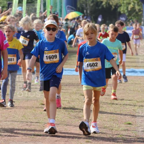 08.09.2024 - Airport Race Strokosch-Dieckow http://msf.ph/oto/7036574 08.09.2024 11:28:39 Ziel 1618, 1620, 1632, 1698, 1716, 1739, 1742, 1762, 1790, 1819, 1830, 1890, 1918, 3408, 3419, 3426 meine-sportfotos.de
