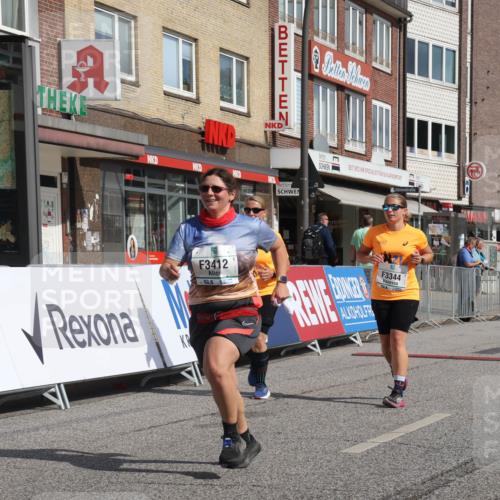 15.09.2024 - PSD Bank Halbmarathon Michael Strokosch http://msf.ph/oto/7055441 15.09.2024 12:41:49 Ziel 2276, 3343, 3344, 3412 meine-sportfotos.de