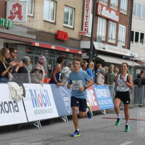 15.09.2024 - PSD Bank Halbmarathon Michael Strokosch http://msf.ph/oto/7055816 15.09.2024 11:32:33 Ziel 731, 936, 1135, 1141, 1447, 2478, 2608, 2649 meine-sportfotos.de