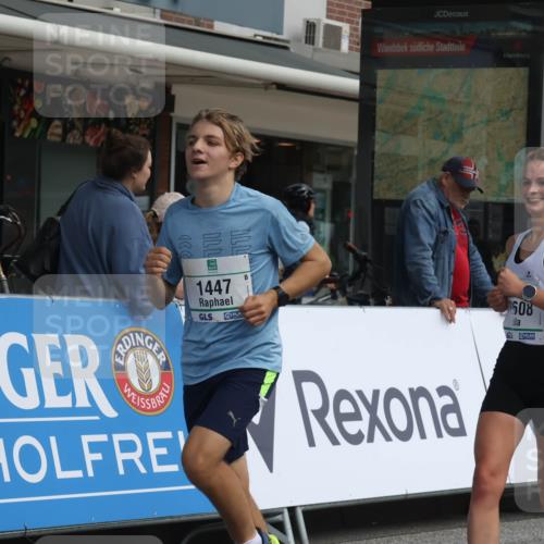 15.09.2024 - PSD Bank Halbmarathon Michael Strokosch http://msf.ph/oto/7055826 15.09.2024 11:32:34 Ziel 731, 936, 1135, 1141, 1447, 2478, 2608, 2649 meine-sportfotos.de