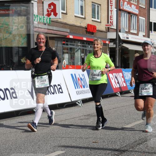 15.09.2024 - PSD Bank Halbmarathon Michael Strokosch http://msf.ph/oto/7056361 15.09.2024 12:47:36 Ziel 3331, 3395, 3459, 3460, 3461 meine-sportfotos.de