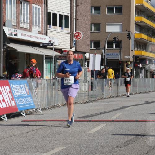15.09.2024 - PSD Bank Halbmarathon Michael Strokosch http://msf.ph/oto/7056549 15.09.2024 12:50:06 Ziel 3365 meine-sportfotos.de