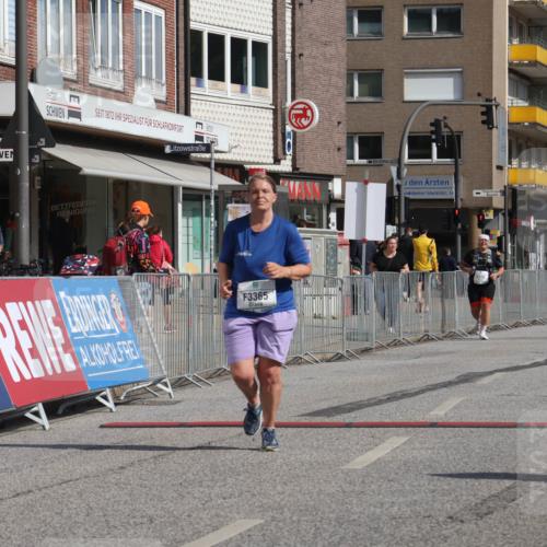 15.09.2024 - PSD Bank Halbmarathon Michael Strokosch http://msf.ph/oto/7056554 15.09.2024 12:50:06 Ziel 3365 meine-sportfotos.de