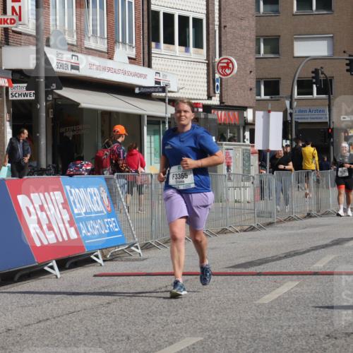 15.09.2024 - PSD Bank Halbmarathon Michael Strokosch http://msf.ph/oto/7056558 15.09.2024 12:50:06 Ziel 3365 meine-sportfotos.de