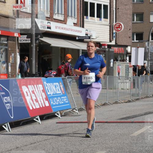 15.09.2024 - PSD Bank Halbmarathon Michael Strokosch http://msf.ph/oto/7056562 15.09.2024 12:50:06 Ziel 3365 meine-sportfotos.de