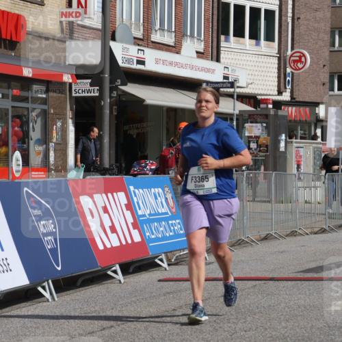15.09.2024 - PSD Bank Halbmarathon Michael Strokosch http://msf.ph/oto/7056570 15.09.2024 12:50:07 Ziel 3365 meine-sportfotos.de