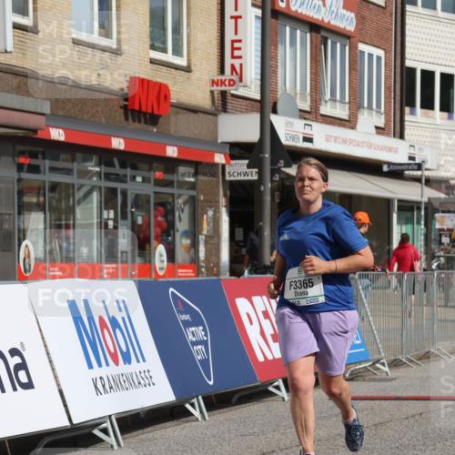 15.09.2024 - PSD Bank Halbmarathon Michael Strokosch http://msf.ph/oto/7056574 15.09.2024 12:50:08 Ziel 3365 meine-sportfotos.de