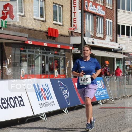 15.09.2024 - PSD Bank Halbmarathon Michael Strokosch http://msf.ph/oto/7056578 15.09.2024 12:50:08 Ziel 3365 meine-sportfotos.de