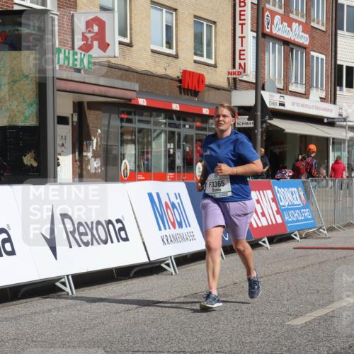 15.09.2024 - PSD Bank Halbmarathon Michael Strokosch http://msf.ph/oto/7056582 15.09.2024 12:50:08 Ziel 3365 meine-sportfotos.de