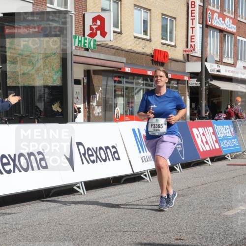 15.09.2024 - PSD Bank Halbmarathon Michael Strokosch http://msf.ph/oto/7056587 15.09.2024 12:50:08 Ziel 3365 meine-sportfotos.de
