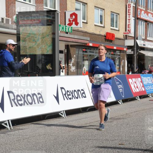 15.09.2024 - PSD Bank Halbmarathon Michael Strokosch http://msf.ph/oto/7056591 15.09.2024 12:50:09 Ziel 3365 meine-sportfotos.de