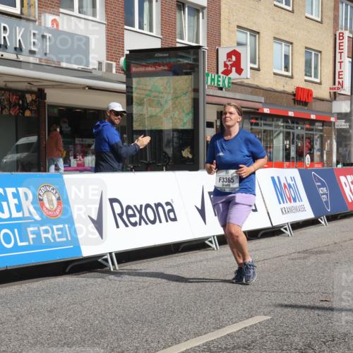15.09.2024 - PSD Bank Halbmarathon Michael Strokosch http://msf.ph/oto/7056595 15.09.2024 12:50:09 Ziel 3365 meine-sportfotos.de