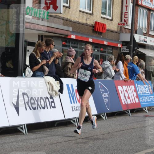 15.09.2024 - PSD Bank Halbmarathon Michael Strokosch http://msf.ph/oto/7057021 15.09.2024 11:35:50 Ziel 1120, 1194, 1394, 2690 meine-sportfotos.de