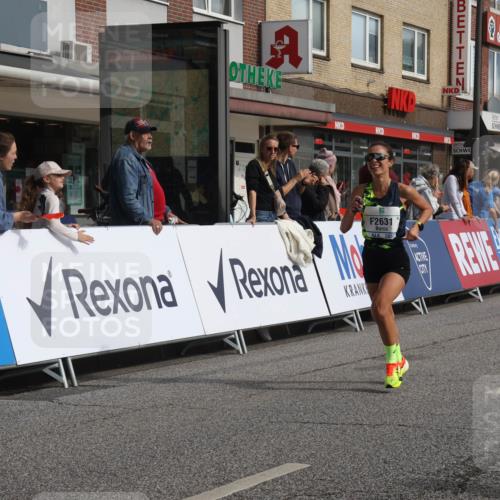 15.09.2024 - PSD Bank Halbmarathon Michael Strokosch http://msf.ph/oto/7057378 15.09.2024 11:36:23 Ziel 748, 944, 1212, 1383, 1439, 2631 meine-sportfotos.de