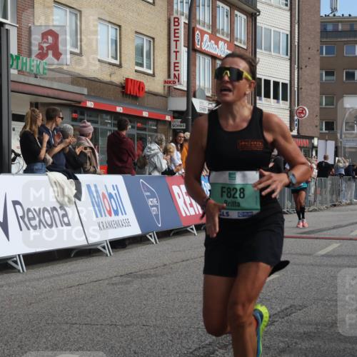 15.09.2024 - PSD Bank Halbmarathon Michael Strokosch http://msf.ph/oto/7058902 15.09.2024 11:38:33 Ziel 828, 903, 935, 989, 1094, 1142, 1170, 1175, 1189, 1371, 1461, 2485, 2660 meine-sportfotos.de