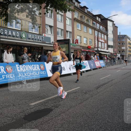 15.09.2024 - PSD Bank Halbmarathon Michael Strokosch http://msf.ph/oto/7059576 15.09.2024 11:40:18 Ziel 721, 931, 1081, 1161, 1340, 1352, 1403, 1600, 2611, 2627, 2640, 3549 meine-sportfotos.de