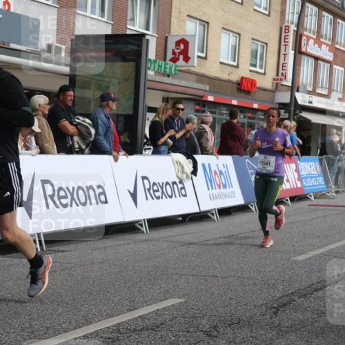 15.09.2024 - PSD Bank Halbmarathon Michael Strokosch http://msf.ph/oto/7060457 15.09.2024 11:43:12 Ziel 752, 942, 1224, 1273, 1279, 1299, 1343, 1377, 1443, 1652, 1653, 2565, 2641, 2651, 2694 meine-sportfotos.de