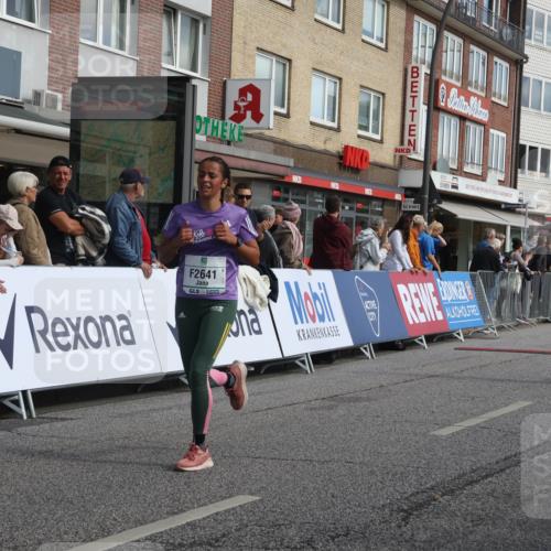 15.09.2024 - PSD Bank Halbmarathon Michael Strokosch http://msf.ph/oto/7060466 15.09.2024 11:43:13 Ziel 752, 942, 1224, 1273, 1279, 1299, 1377, 1443, 1652, 1653, 2488, 2565, 2641, 2651, 2694 meine-sportfotos.de