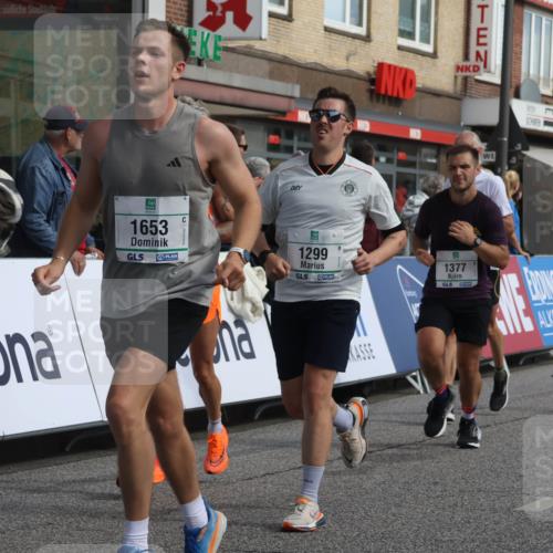15.09.2024 - PSD Bank Halbmarathon Michael Strokosch http://msf.ph/oto/7060503 15.09.2024 11:43:19 Ziel 1224, 1273, 1279, 1299, 1332, 1377, 1443, 1653, 1901, 2488, 2565, 2637, 2641 meine-sportfotos.de