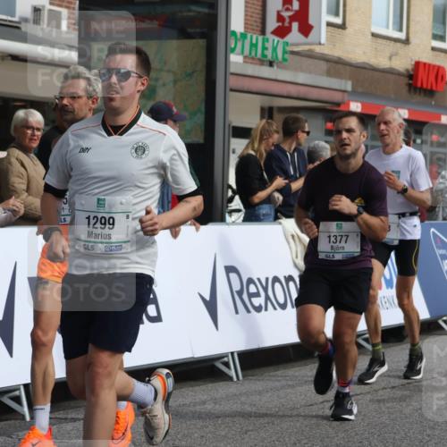 15.09.2024 - PSD Bank Halbmarathon Michael Strokosch http://msf.ph/oto/7060509 15.09.2024 11:43:20 Ziel 1224, 1273, 1279, 1299, 1322, 1332, 1377, 1443, 1653, 1901, 2488, 2565, 2637, 2641 meine-sportfotos.de