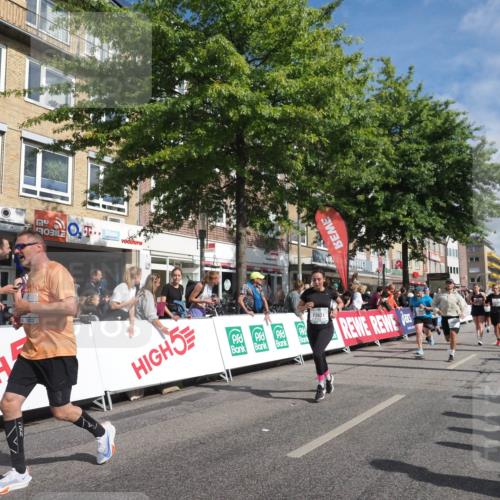 15.09.2024 - PSD Bank Halbmarathon Miley Keyser http://msf.ph/oto/7060538 15.09.2024 12:08:58 Ziel 1446, 1664, 1699, 1786, 1912, 1949, 2165, 2214, 2240, 2621, 2796, 2891, 2908, 3200 meine-sportfotos.de