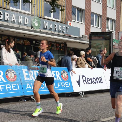15.09.2024 - PSD Bank Halbmarathon Michael Strokosch http://msf.ph/oto/7060718 15.09.2024 11:44:01 Ziel 717, 720, 950, 1196, 1246, 1250, 1304, 1334, 1398, 1457, 1771, 1909, 2482, 2967 meine-sportfotos.de