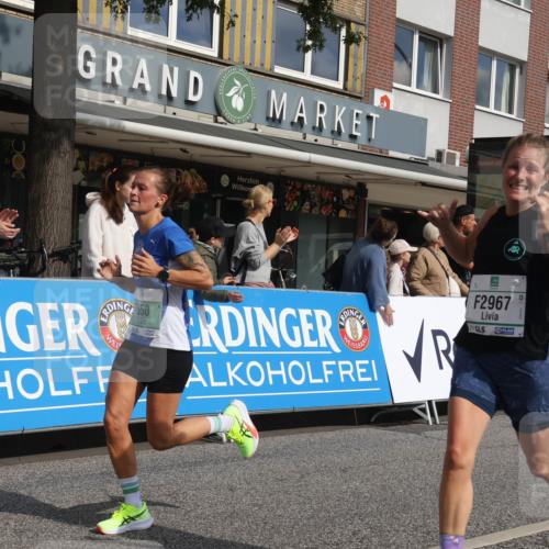 15.09.2024 - PSD Bank Halbmarathon Michael Strokosch http://msf.ph/oto/7060720 15.09.2024 11:44:01 Ziel 717, 720, 950, 1196, 1246, 1250, 1304, 1334, 1398, 1457, 1771, 1909, 2482, 2967 meine-sportfotos.de