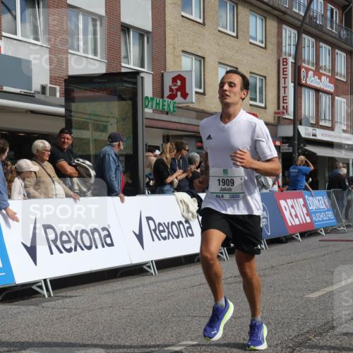 15.09.2024 - PSD Bank Halbmarathon Michael Strokosch http://msf.ph/oto/7060748 15.09.2024 11:44:06 Ziel 720, 950, 1166, 1180, 1250, 1256, 1275, 1334, 1628, 1771, 1909, 2482, 2556, 2667, 2967 meine-sportfotos.de