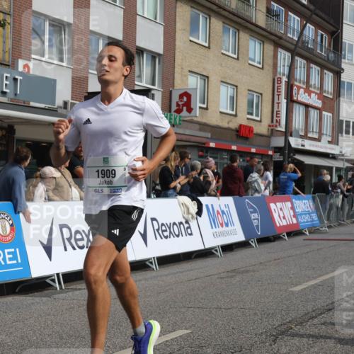 15.09.2024 - PSD Bank Halbmarathon Michael Strokosch http://msf.ph/oto/7060751 15.09.2024 11:44:07 Ziel 720, 950, 1166, 1180, 1250, 1256, 1275, 1282, 1334, 1628, 1771, 1909, 2482, 2556, 2667, 2967 meine-sportfotos.de