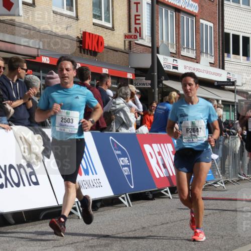 15.09.2024 - PSD Bank Halbmarathon Michael Strokosch http://msf.ph/oto/7061083 15.09.2024 11:45:05 Ziel 949, 1114, 1268, 1280, 1313, 1373, 1421, 1587, 1988, 2503, 2647, 2683, 3514 meine-sportfotos.de