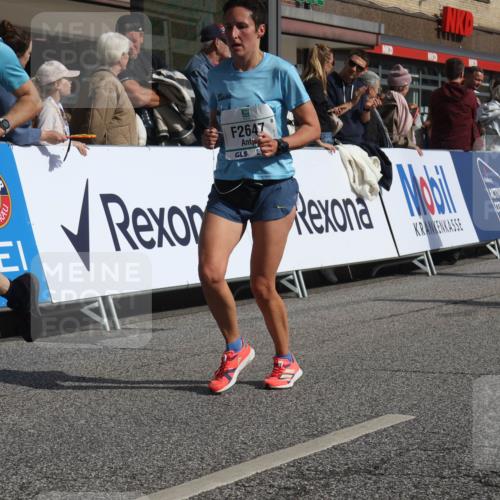 15.09.2024 - PSD Bank Halbmarathon Michael Strokosch http://msf.ph/oto/7061094 15.09.2024 11:45:07 Ziel 949, 1114, 1268, 1280, 1313, 1373, 1421, 1587, 1737, 1988, 2495, 2503, 2647, 2683, 3514 meine-sportfotos.de