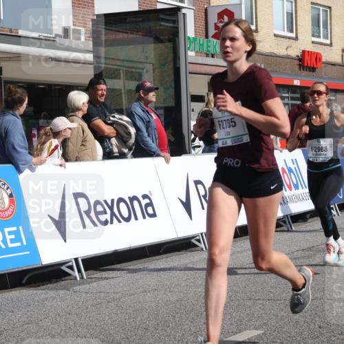 15.09.2024 - PSD Bank Halbmarathon Michael Strokosch http://msf.ph/oto/7061350 15.09.2024 11:45:51 Ziel 446, 948, 982, 1209, 1326, 1347, 1351, 1975, 2645, 2705, 2988 meine-sportfotos.de