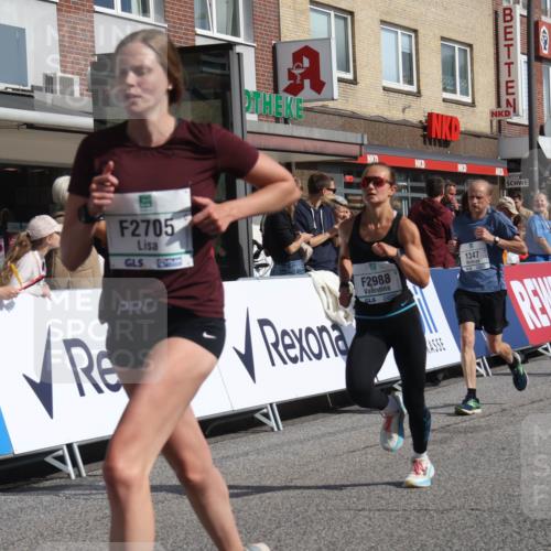 15.09.2024 - PSD Bank Halbmarathon Michael Strokosch http://msf.ph/oto/7061352 15.09.2024 11:45:52 Ziel 446, 948, 982, 1209, 1326, 1347, 1351, 1975, 2645, 2705, 2988 meine-sportfotos.de