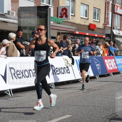 15.09.2024 - PSD Bank Halbmarathon Michael Strokosch http://msf.ph/oto/7061354 15.09.2024 11:45:52 Ziel 446, 948, 982, 1209, 1326, 1347, 1351, 1975, 2645, 2705, 2988 meine-sportfotos.de